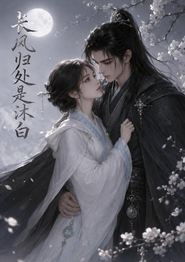 长风归处是沐白